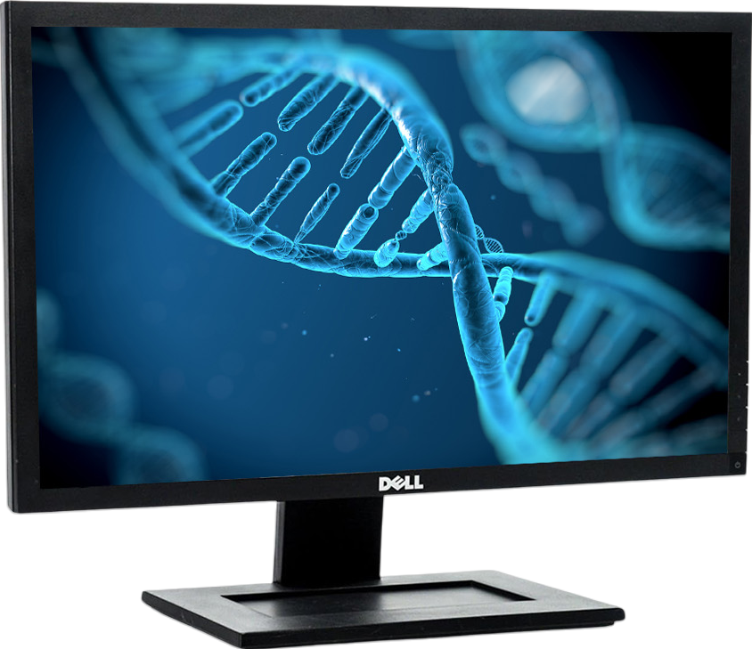 Dell E2211Hb - 22 Inch - B-Grade
