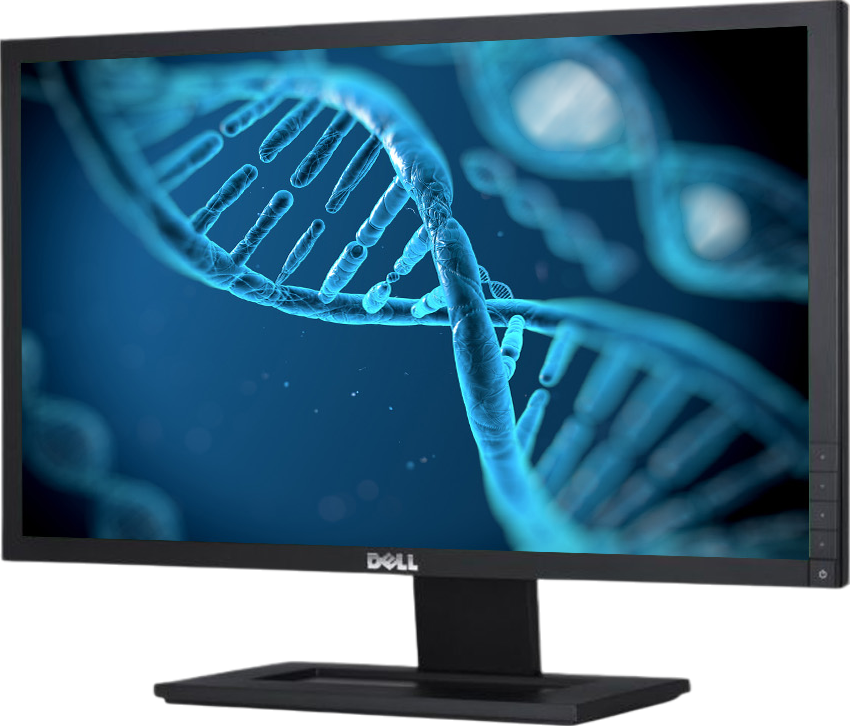 Dell E2211Hb - 22 Inch - B-Grade