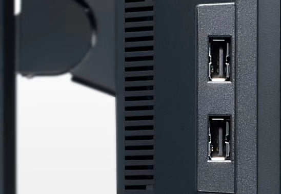 Dell Professional P2411H - 24 inch - B-grade