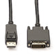 DVI naar DisplayPort Kabel Full HD 1920x1200 – Gebruikt