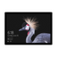 Microsoft surface pro (5th Gen) m3-7e Gen - 4GB, 128GB SSD - B-Grade
