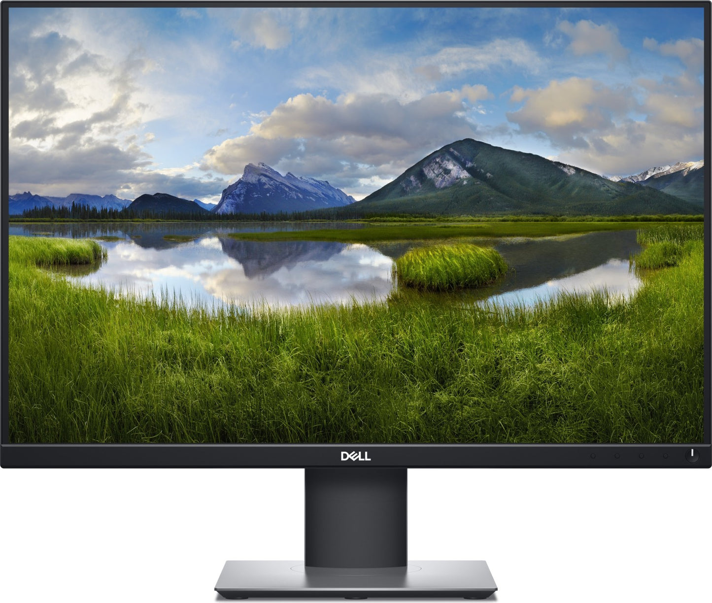 Dell P2421 - 24 Inch - B-Grade