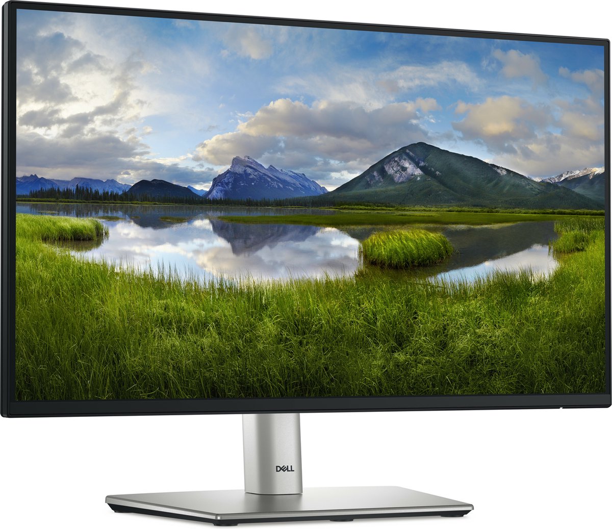 Dell P2222Ht - 22 inch - B-Grade
