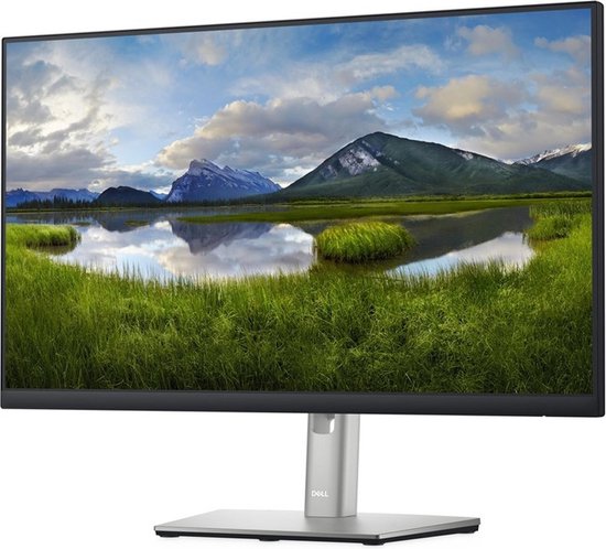 Dell Professional P2422H 24 inch - A-Grade